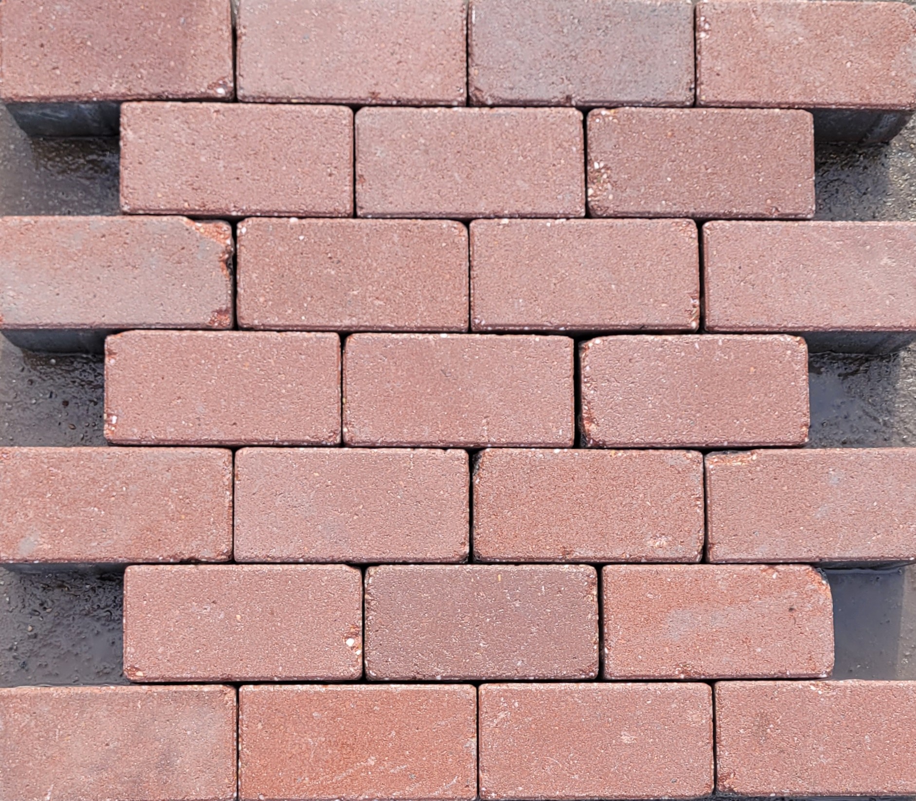 betonklinker jong gebruikt / rood